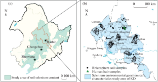 Environmental Geochemical Characteristics of Selenium in Northeast China