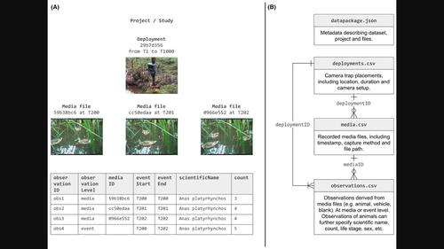 Camtrap DP: an open standard for the FAIR exchange and archiving of camera trap data