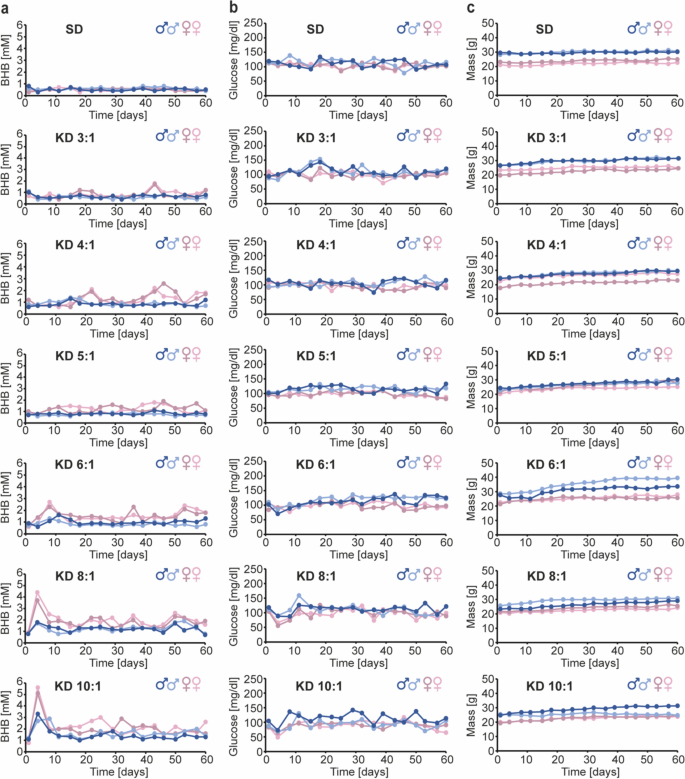 Ketogenic diet does not promote triple-negative and luminal mammary tumor growth and metastasis in experimental mice