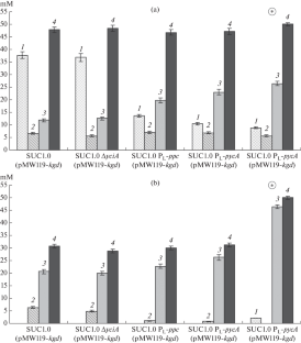 Optimization of Aerobic Synthesis of Succinic Acid from Glucose by Recombinant Escherichia coli Strains through the Tricarboxylic Acid Cycle Variant Mediated by the Action of 2-Ketoglutarate Decarboxylase