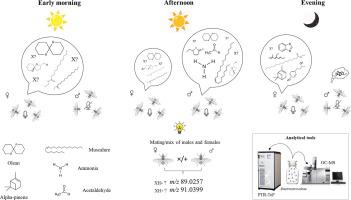 Diel rhythm of volatile emissions from males and females of the olive fruit fly Bactrocera oleae using PTR-ToF and GC–MS