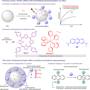 Kinetic effects in singlet oxygen mediated oxidations by immobilized photosensitizers on silica