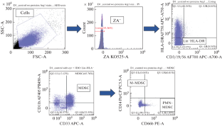 Effects of Human Chorionic Gonadotropin on Differentiation and Functional Activity of Myeloid-Derived Suppressor Cells