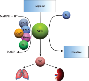 Role of Nitric Oxide and Hydrogen Sulfide in Neuronal and Glial Cell Death in Neurodegenerative Processes