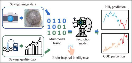 Brain-inspired multimodal approach for effluent quality prediction using wastewater surface images and water quality data