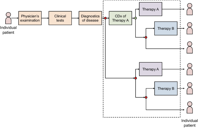 A Systems Evaluation Model for the Development of Companion Diagnostics and Associated Molecularly Targeted Therapies