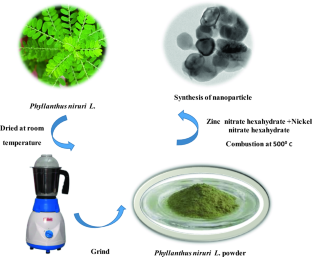 Biogenic approach for synthesis of ZnO/NiO nanocomposites as a highly efficient photocatalyst and evaluation of their biological properties