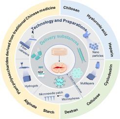 Polysaccharides as a promising platform for the treatment of spinal cord injury: A review