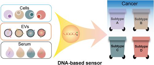 Smart DNA sensors-based molecular identification for cancer subtyping