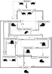 Reproductive Behavior and Stridulatory Communication in Sternochetus mangiferae (Coleoptera: Curculionidae: Cryptorhynchinae)