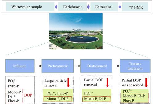 Composition characterization and transformation mechanism of dissolved organic phosphorus in wastewater treatment using 31P NMR spectroscopy