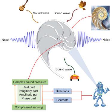 A Nautilus bionic multi-information fusion compressed-sensing acoustic imaging device