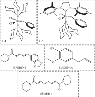 Implications of Active Intermediate and Olefin Attachment Position in the Piperine Metathesis