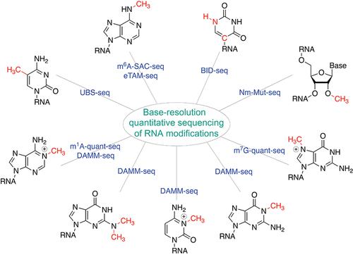 Base-Resolution Sequencing Methods for Whole-Transcriptome Quantification of mRNA Modifications