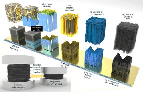 Tissue-derived highly compressible anisotropic carbon aerogels with aligned fibrous matrices for solid-state rechargeable zinc-cobalt-air hybrid batteries