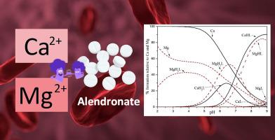 Speciation studies of a bisphosphonate drug. New thermodynamic insights of sodium alendronate with Ca2+ and Mg2+ in NaCl aqueous solution (0.10 ≤ I/mol kg−1 ≤ 1.02)