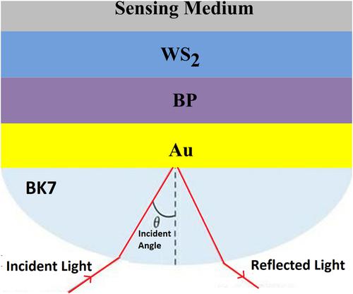 Improving the performance of high-sensitivity surface plasmon resonance biosensor with 2D nanomaterial coating (BP-WS2) based on hybrid structure: Theoretical analysis