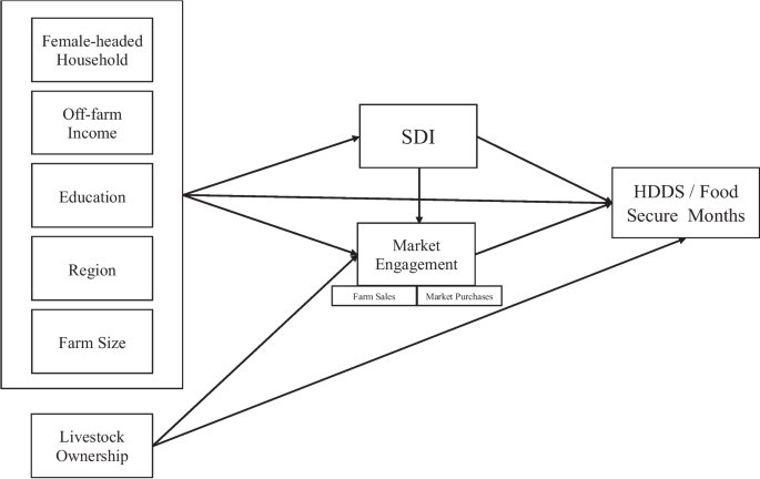 Market engagement, crop diversity, dietary diversity, and food security: evidence from small-scale agricultural households in uganda