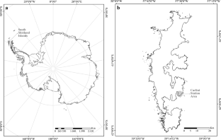 Diversity and abundance of free-living nematodes from Carlini Station, 25 de Mayo/King George Island, Antarctica: a case study in pristine and disturbed soils