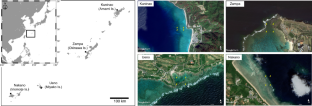 Clonal distribution and spatial genetic structure of the reef-building coral Galaxea fascicularis