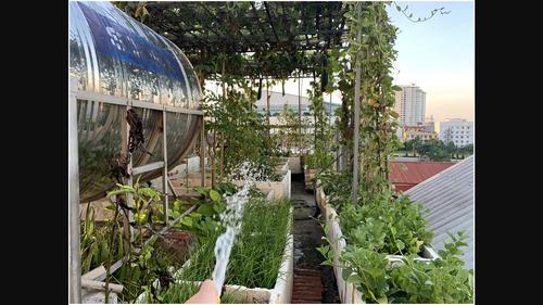 Rooftop gardening complexities in the Global South: Motivations, practices, and politics