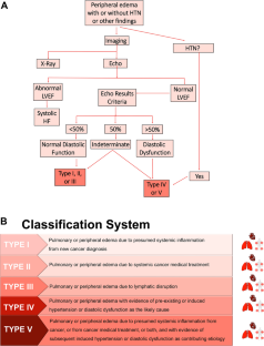 Syndromes of Concurrent Hypertension, Diastolic Dysfunction, and Pulmonary or Peripheral Edema in Cardio-Oncology: Case Studies, Literature Review, and New Classification System