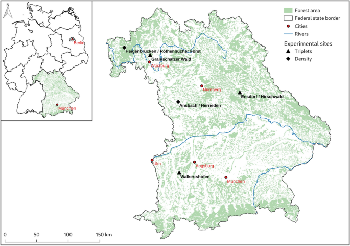 Influence of crown and canopy structure on light absorption, light use efficiency, and growth in mixed and pure Pseudotsuga menziesii and Fagus sylvatica forests