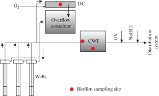 The Formation and Composition of Biofilms in a Terrestrial Water Treatment System of Iron-Containing Groundwater