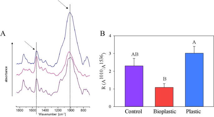 Microbiome dynamics of soils covered by plastic and bioplastic mulches