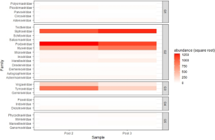 Metagenomic and Molecular Detection of Novel Fecal Viruses in Free-Ranging Agile Wallabies