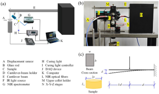 Theoretical Prediction and Experimental Measurement of the Evolution of Polymerization Shrinkage Stress Under Different Photocuring Protocols