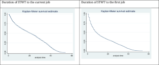 Success Stems from STEM Fields: An Analysis of Italian Graduates