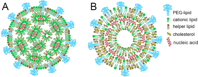 Computational approaches to lipid-based nucleic acid delivery systems