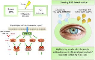 SuperDopa (SD), SuperDopa amide (SDA) and Thioredoxin-mimetic peptides protect ARPE-19 cells from photic- and non-photic stress