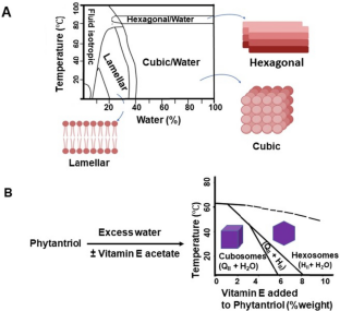 Cubosomes as versatile lipid nanocarriers for neurological disorder therapeutics: a comprehensive review