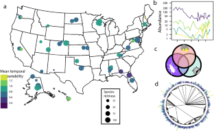 Temporal variability of carabid beetles as a function of geography, environment, and species