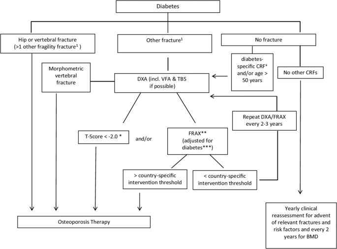 Efficacy of Osteoporosis Medications in Patients with Type 2 Diabetes