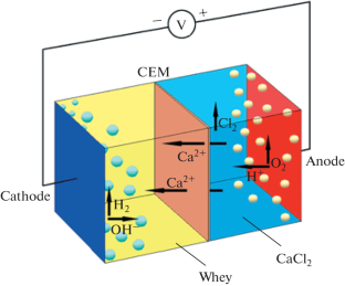 Electroactivation: An Advanced Method of Processing of Whey with Medium Protein Content