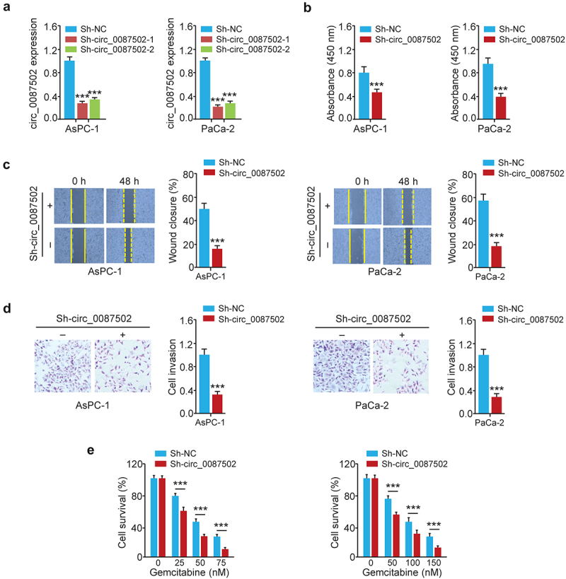 Dysregulation of the circ_0087502/miR-1179/TGFBR2 pathway supports gemcitabine resistance in pancreatic cancer.