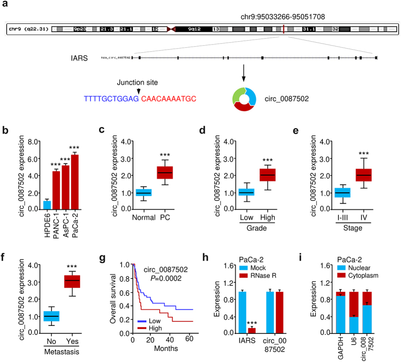 Dysregulation of the circ_0087502/miR-1179/TGFBR2 pathway supports gemcitabine resistance in pancreatic cancer.