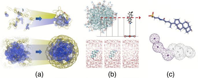 Molecular dynamics study on micelle-small molecule interactions: developing a strategy for an extensive comparison