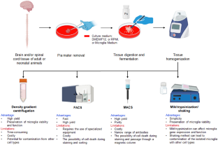 Current methods for the microglia isolation: Overview and comparative analysis of approaches