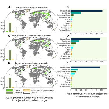 Robust projections of increasing land carbon storage in boreal and temperate forests under future climate change scenarios