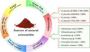 From present to prosperity: assessing the current status and envisioning opportunities in the industrial-scale cultivation of Haematococcus pluvialis for astaxanthin production