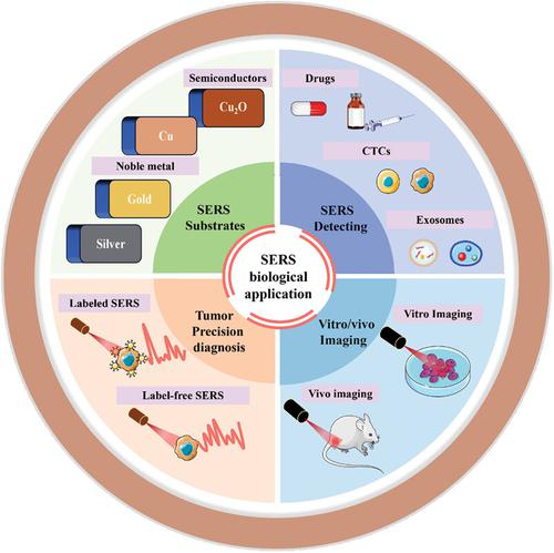 Advancements in SERS-based biological detection and its application and perspectives in pancreatic cancer