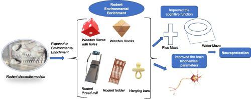 Environmental enrichment improves cognitive function, learning, memory and anxiety-related behaviours in rodent models of dementia: Implications for future study