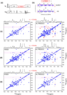 Short and long range 2D 15N–15N NMR correlations among peptide groups by novel solid state dipolar mixing schemes