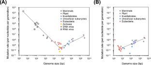 Signification and Application of Mutator and Antimutator Phenotype-Induced Genetic Variations in Evolutionary Adaptation and Cancer Therapeutics