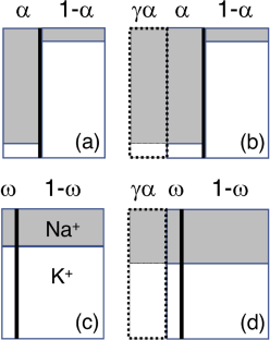 Energy optimisation predicts the capacity of ion buffering in the brain