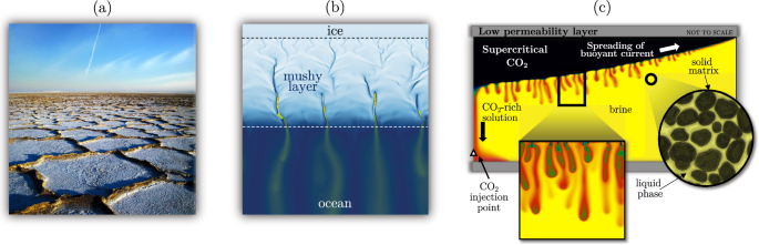 Convective mixing in porous media: a review of Darcy, pore-scale and Hele-Shaw studies